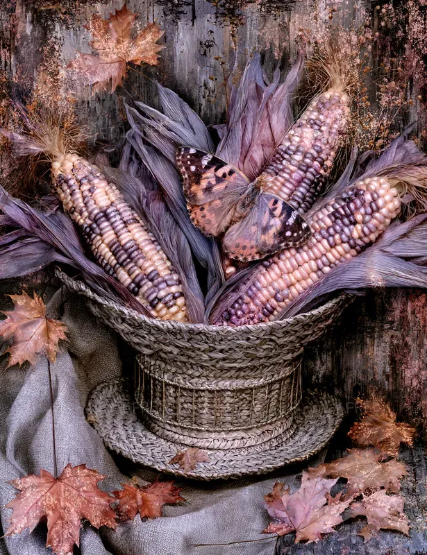 Grand Autumn Harvest Still Lifes