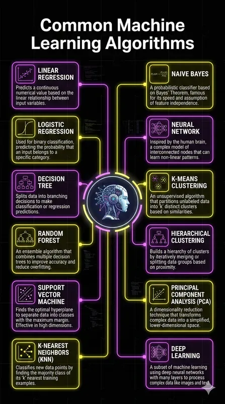 Detailed Tech Aesthetic Infographics