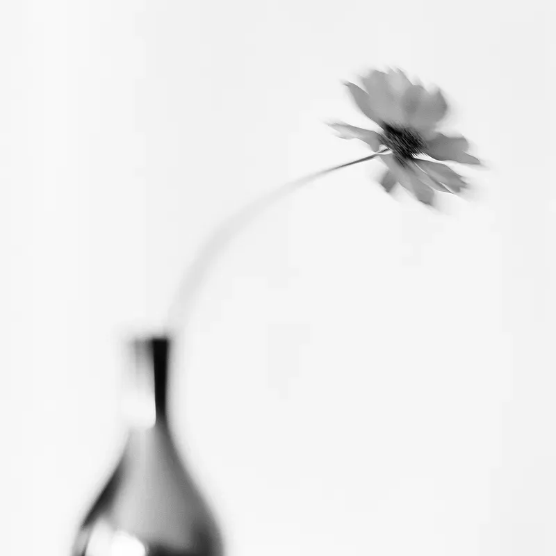 Minimalist Motions