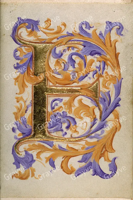 Illuminated Manuscript Initials
