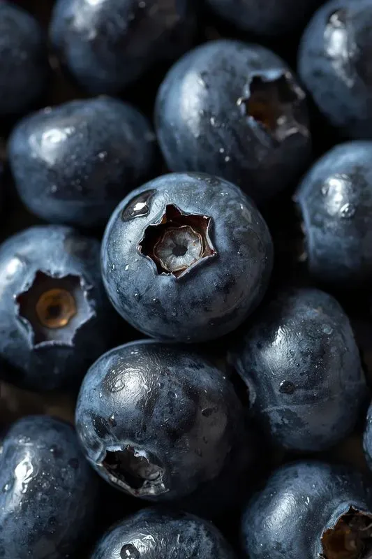 Vibrant Fresh Fruits Photography