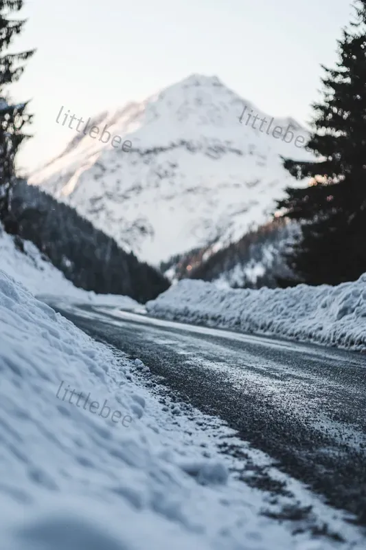Stunning Realistic Landscapes