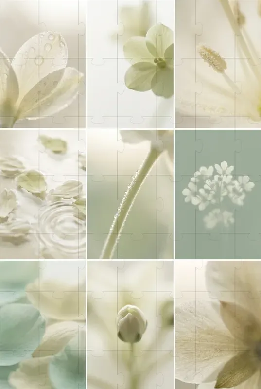 Japanese Minimalist Visuals