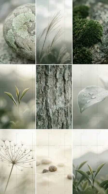 Japanese Minimalist Visuals