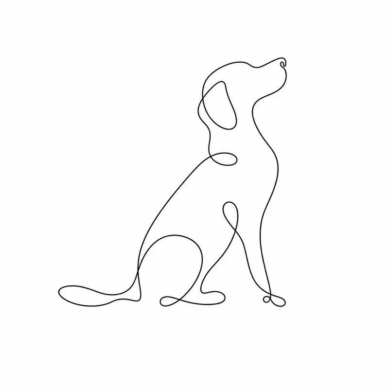 Minimal One Line Vector Illustrations