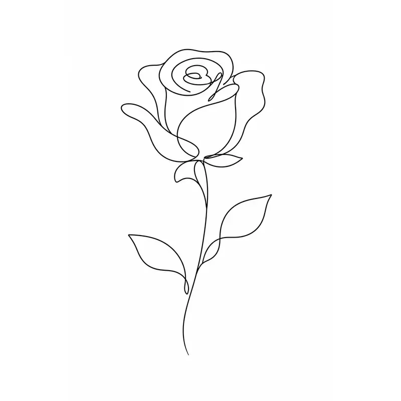 Minimal One Line Vector Illustrations