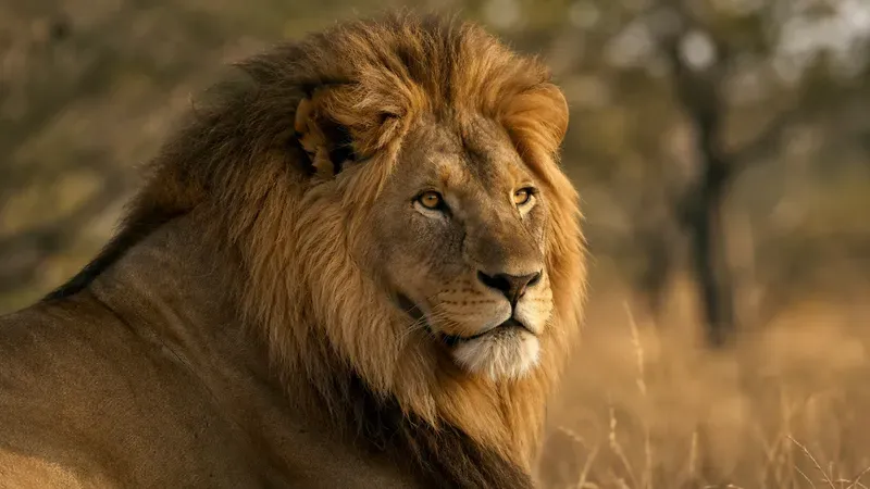 Hyperrealistic Photorealistic Wildlife