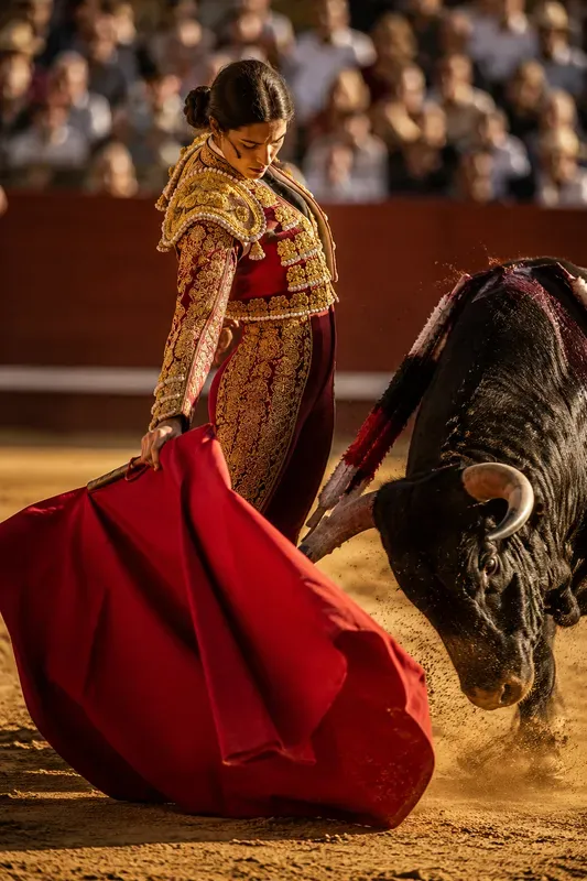 Spanish Matador Collections