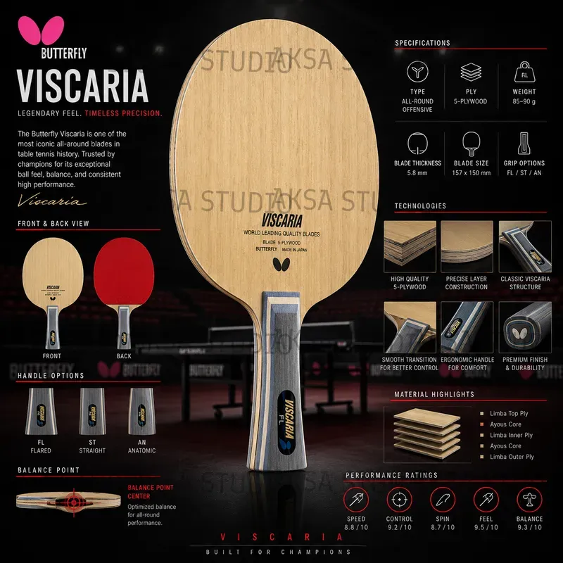 Racket Sports Infographics