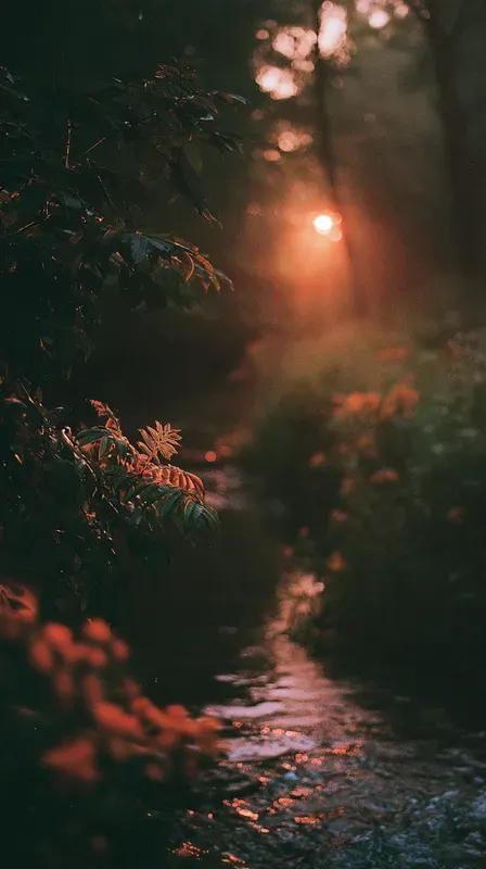 Vintage Cinematic Late Summer Americanas