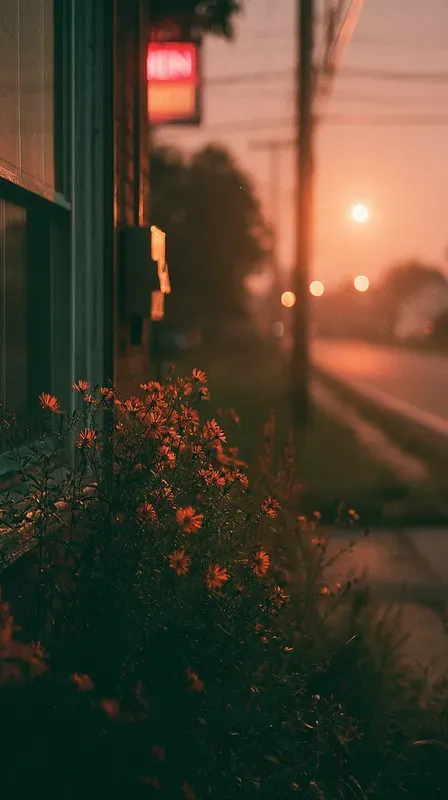 Vintage Cinematic Late Summer Americanas