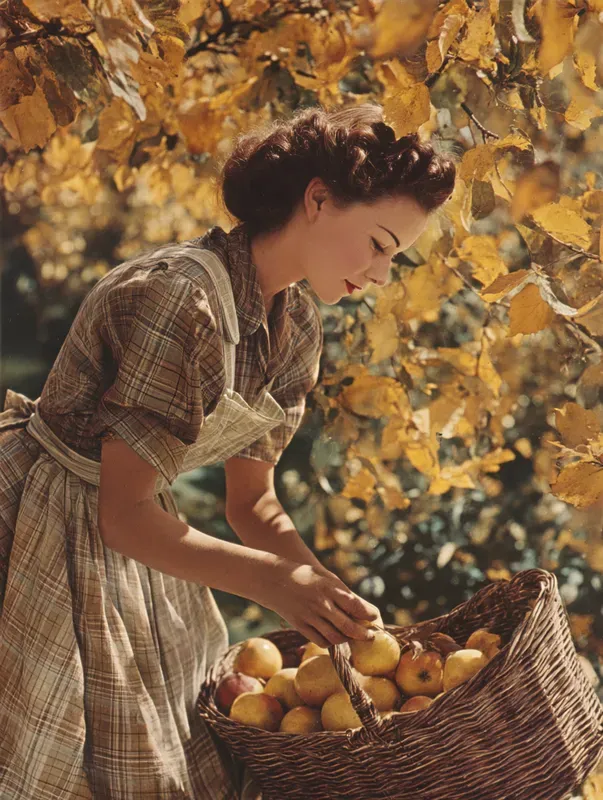 Autumn Harvest Retro Wall Art Posters