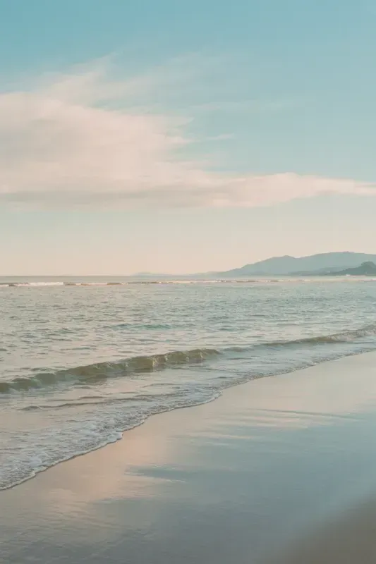 Soft Pastel Minimalist Analog Photos