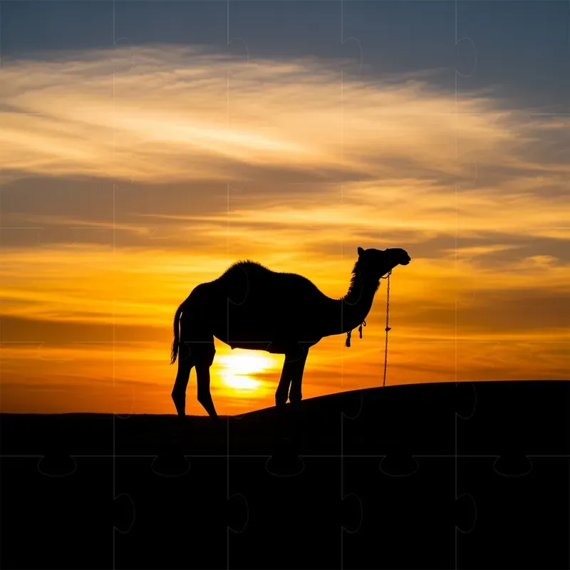 Serene Sunset Silhouette Photography