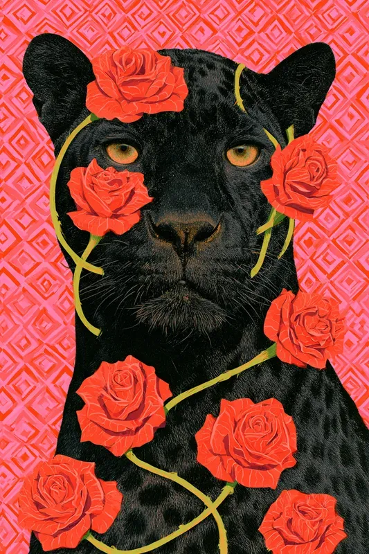 Hyper Pop Surreal Collages