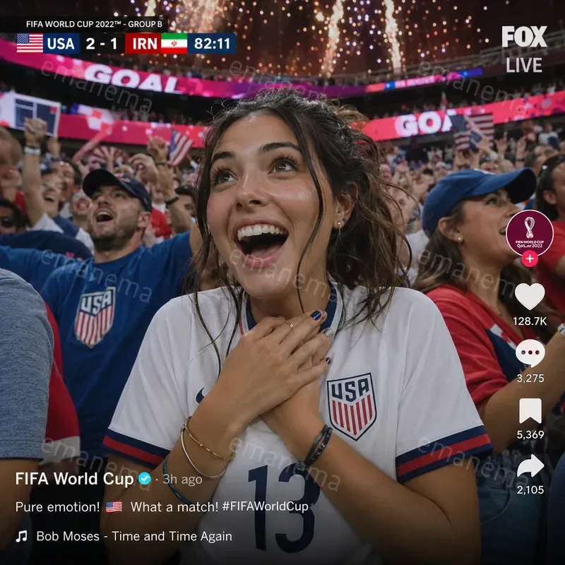 Fifa World Cup Celebrations