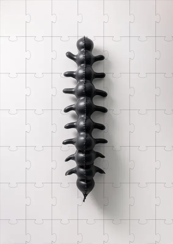 Minimal Anatomical Editorial Still Lifes