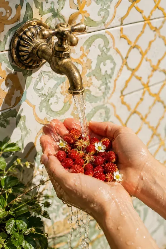 Mediterranean Summer Culinary Macro Photos