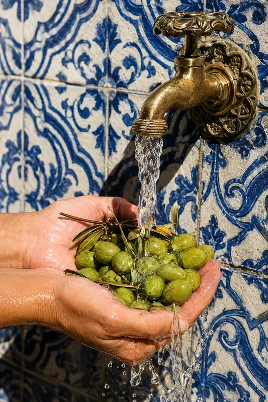 Mediterranean Summer Culinary Macro Photos