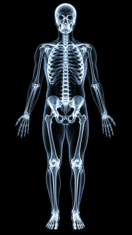Xray Style Generator