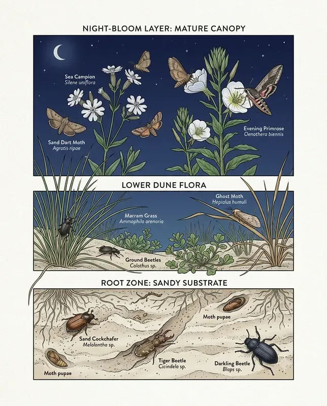 Pollinator Habitat Layer Plates