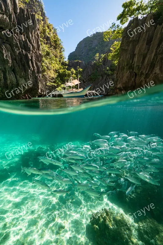 Overunder Split Shot Photography