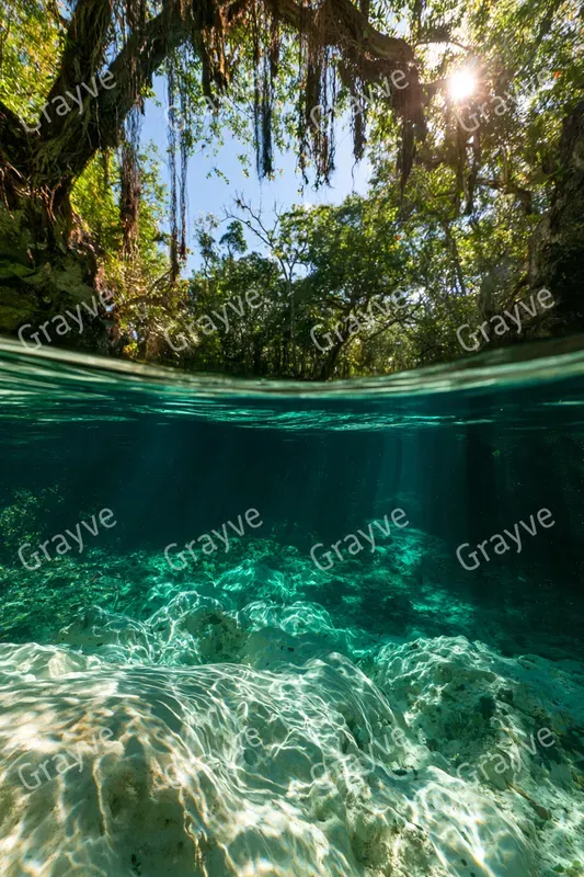 Overunder Split Shot Photography