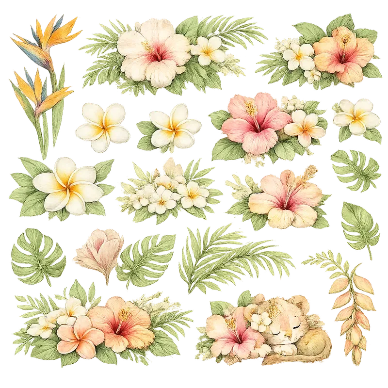Transparent Png Cliparts