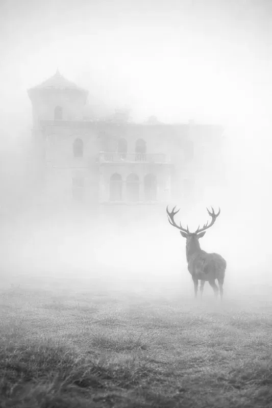 Foggy Minimalist Black White Photography