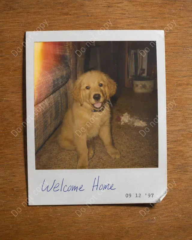 Vintage Polaroid Photo Makers