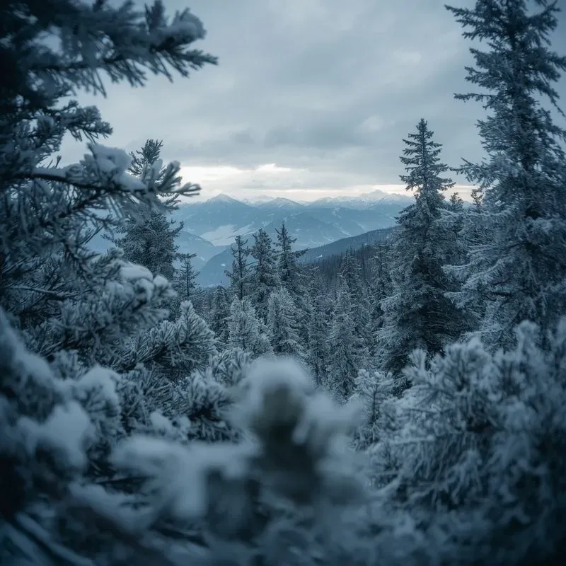 Gopro Raw Landscapes Modulars