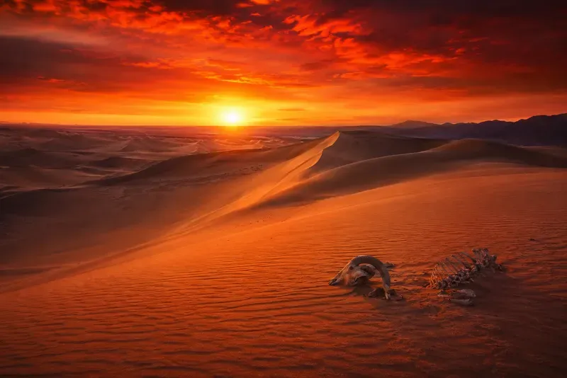 Cinematic Desert Landscape Photography