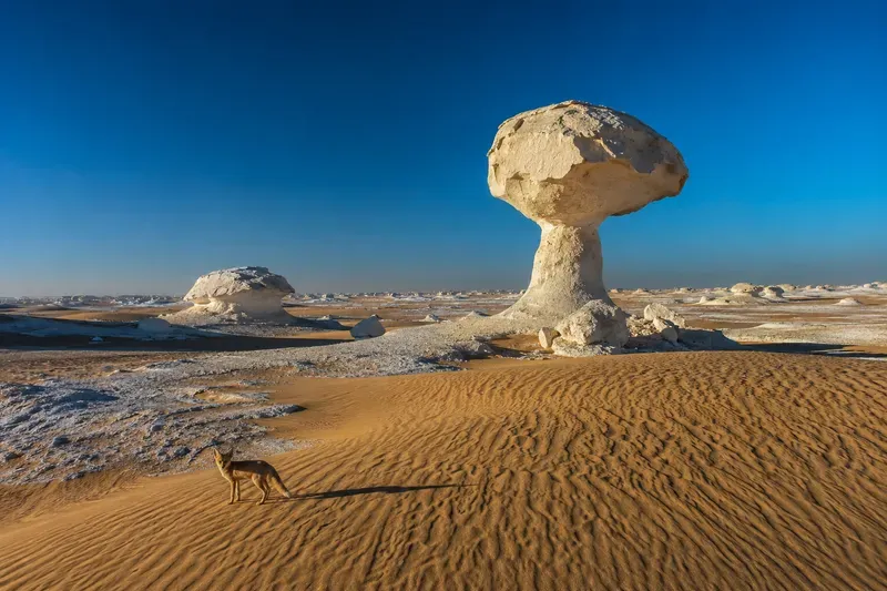 Cinematic Desert Landscape Photography