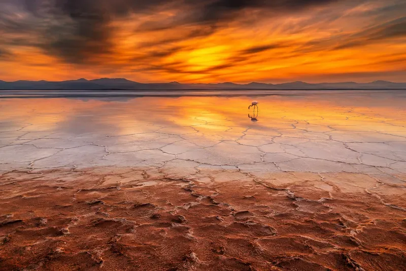 Cinematic Desert Landscape Photography
