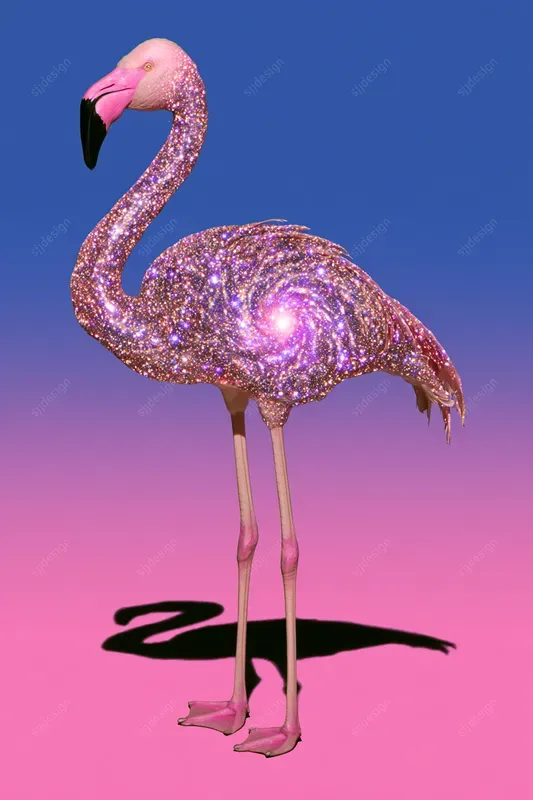 Cosmic Absurdity Product Photos