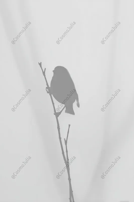Frosted Glass Minimalist Silhouettes