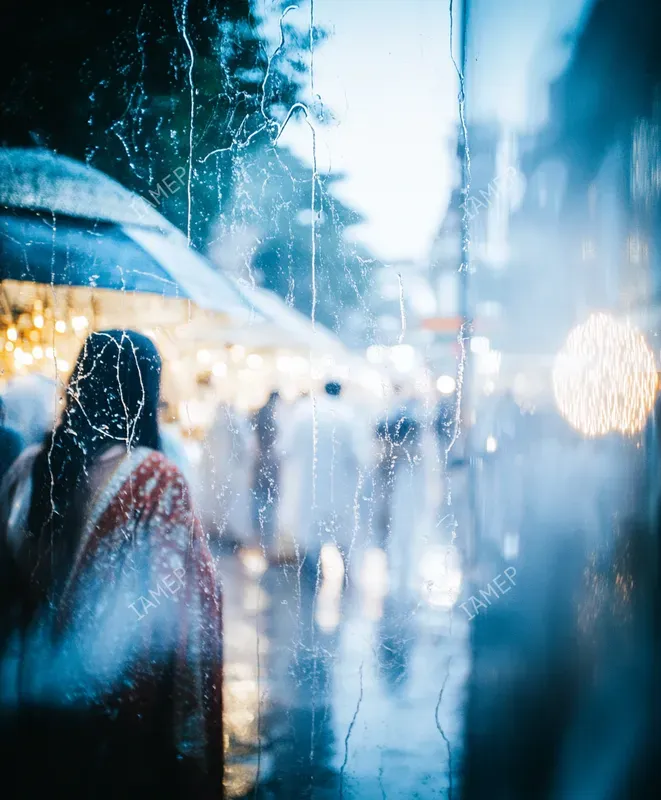 Photography With Depth Of Field Effects