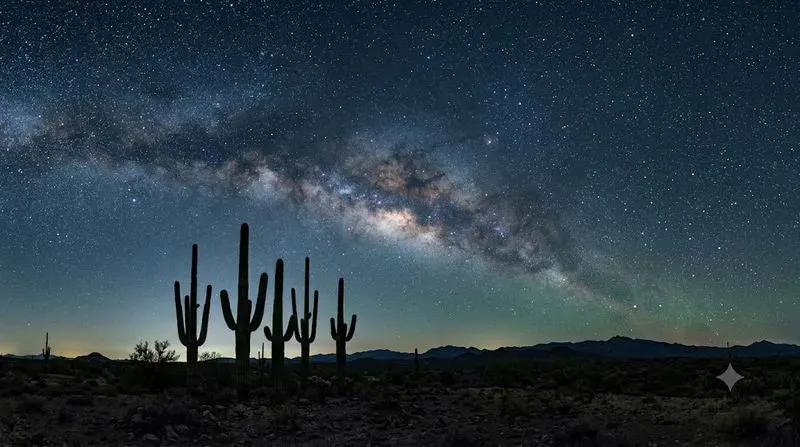 Realistic Night Sky Landscape Photos