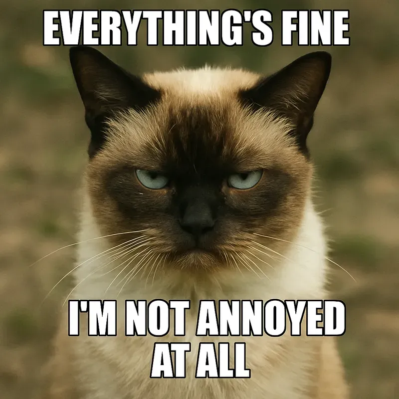 Emotionally Unstable Animal Memes