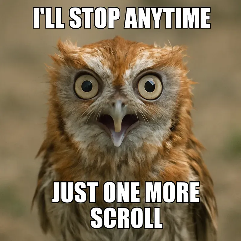 Emotionally Unstable Animal Memes