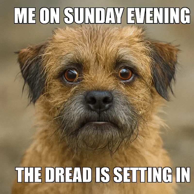Emotionally Unstable Animal Memes