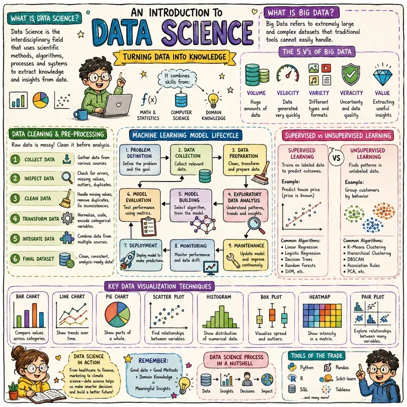 Handdrawn Educational Charts