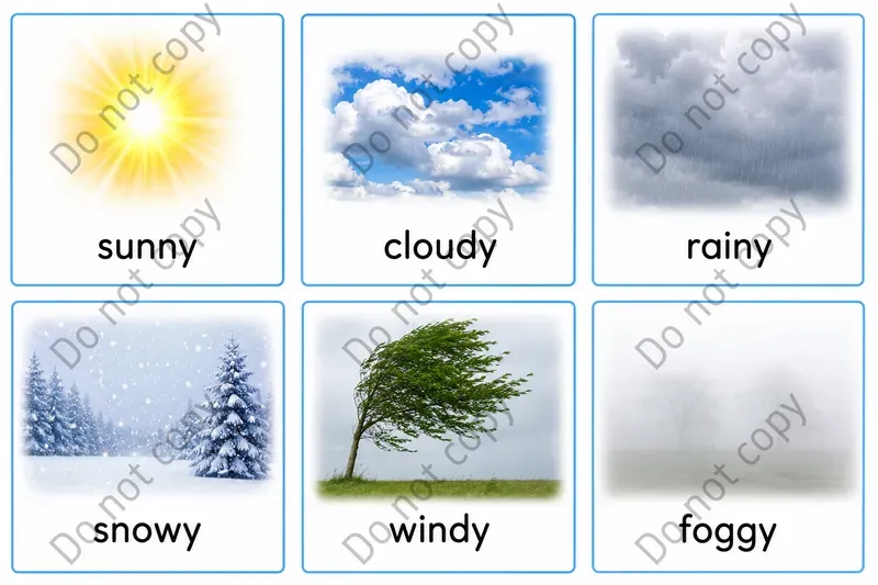 Montessori Picture Word Cards