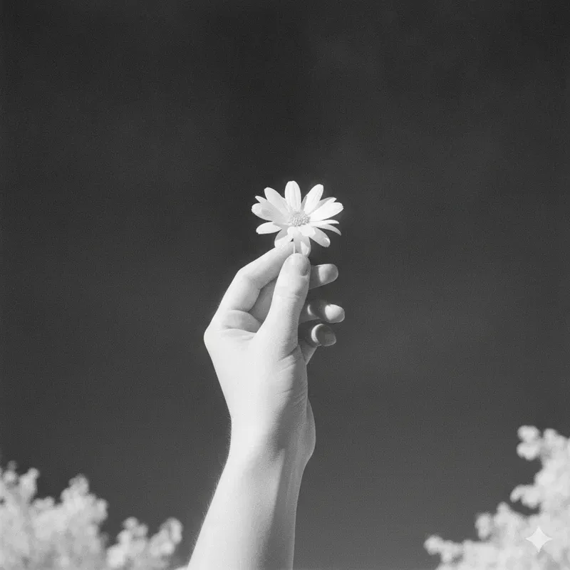 Infrared Films The Unseen Lights