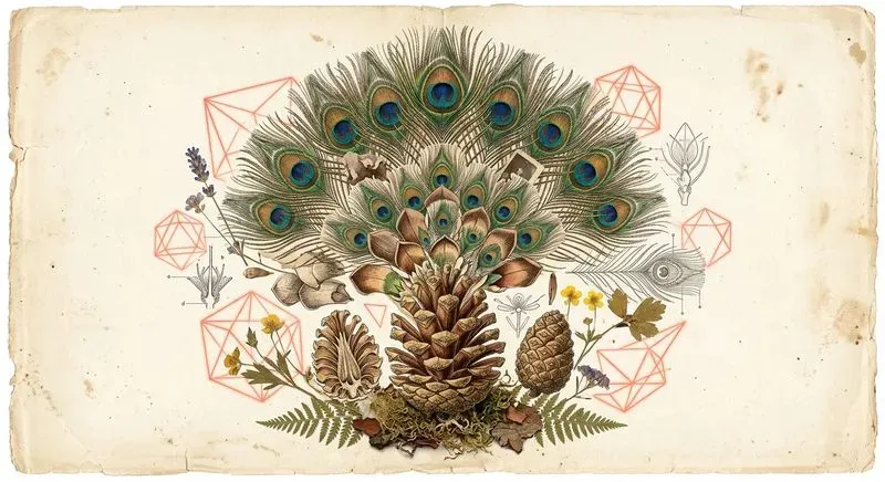 Surreal Vintage Specimen Collage Art