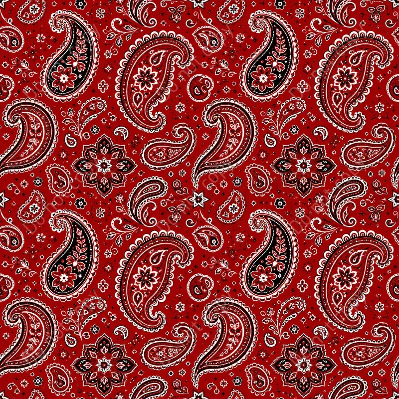 Western Paisley Seamless Patterns