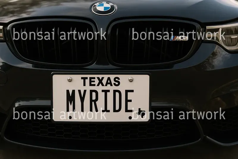 Realistic Car Plate Photo Makers