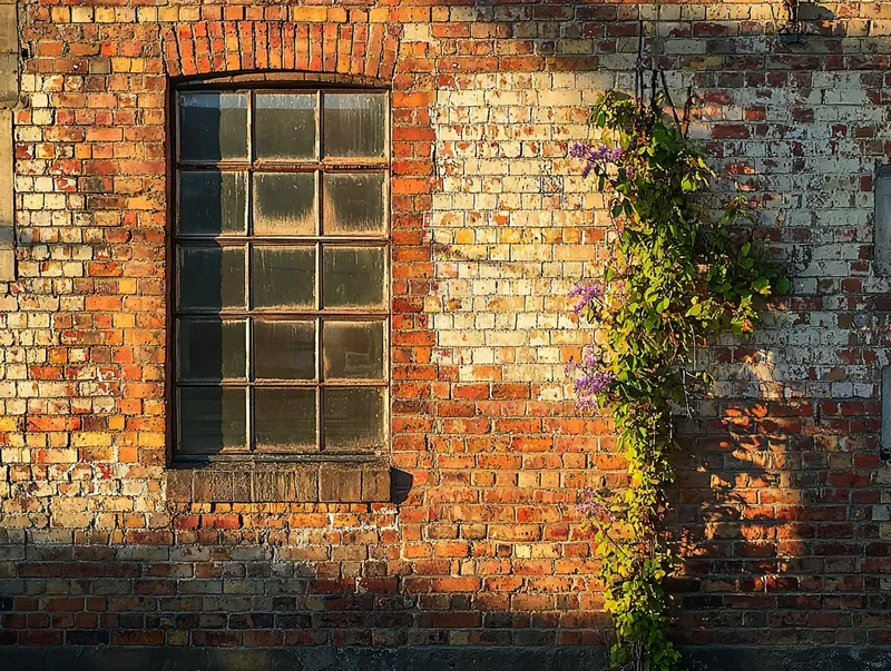 Architecture Flemish Brickwork