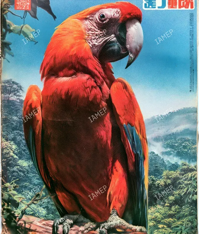 Vintage Japanese Wildlife Posters