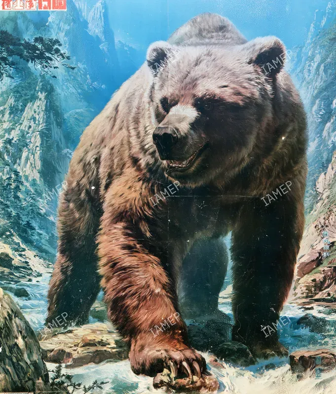Vintage Japanese Wildlife Posters
